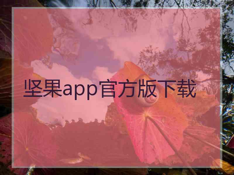 坚果app官方版下载