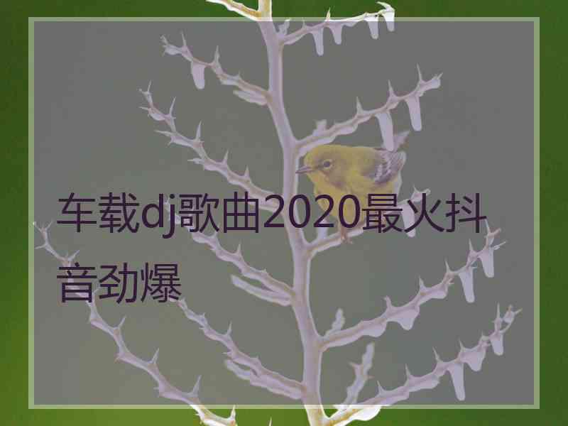 车载dj歌曲2020最火抖音劲爆