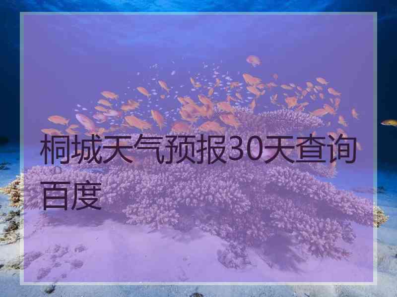 桐城天气预报30天查询百度