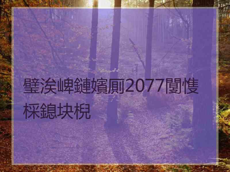 璧涘崥鏈嬪厠2077闅愯棌鎴块棿