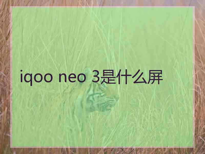 iqoo neo 3是什么屏