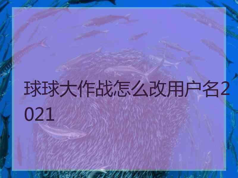 球球大作战怎么改用户名2021