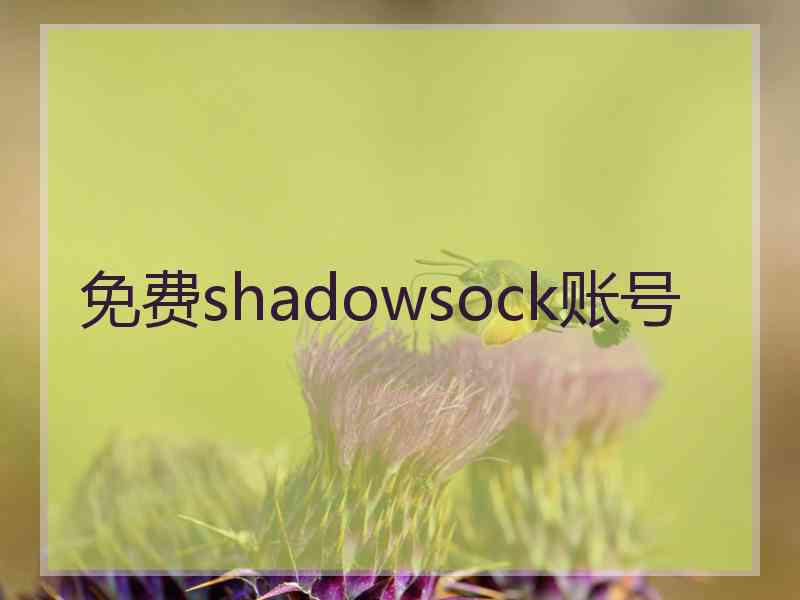 免费shadowsock账号