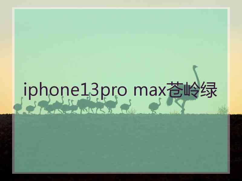 iphone13pro max苍岭绿