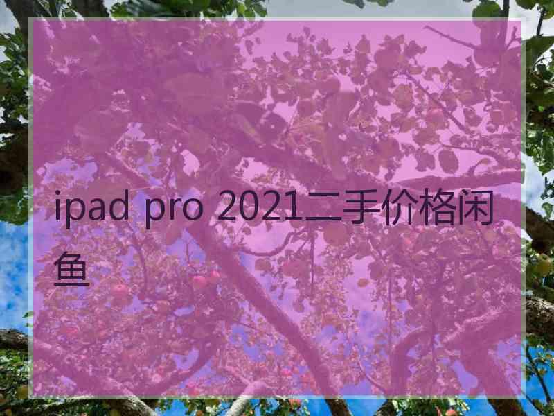 ipad pro 2021二手价格闲鱼