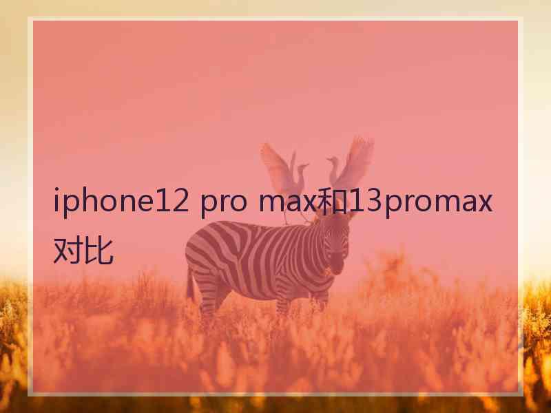 iphone12 pro max和13promax对比