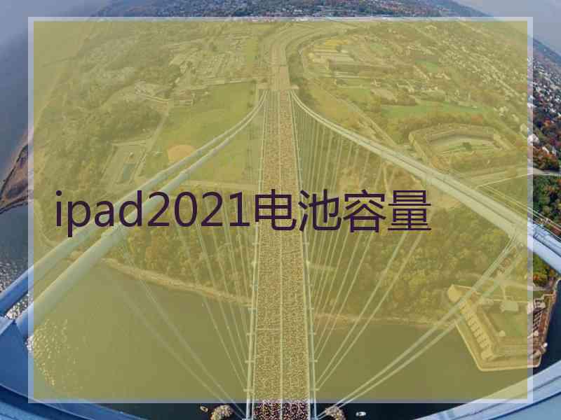 ipad2021电池容量