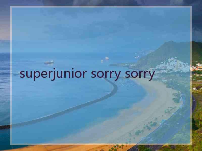 superjunior sorry sorry