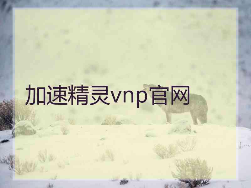 加速精灵vnp官网