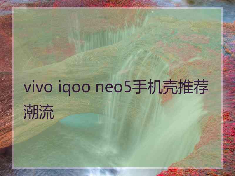 vivo iqoo neo5手机壳推荐潮流