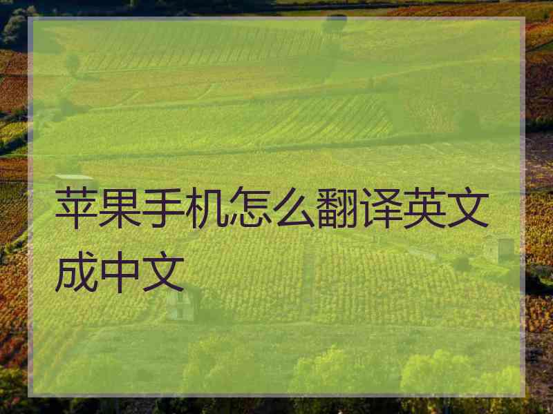 苹果手机怎么翻译英文成中文