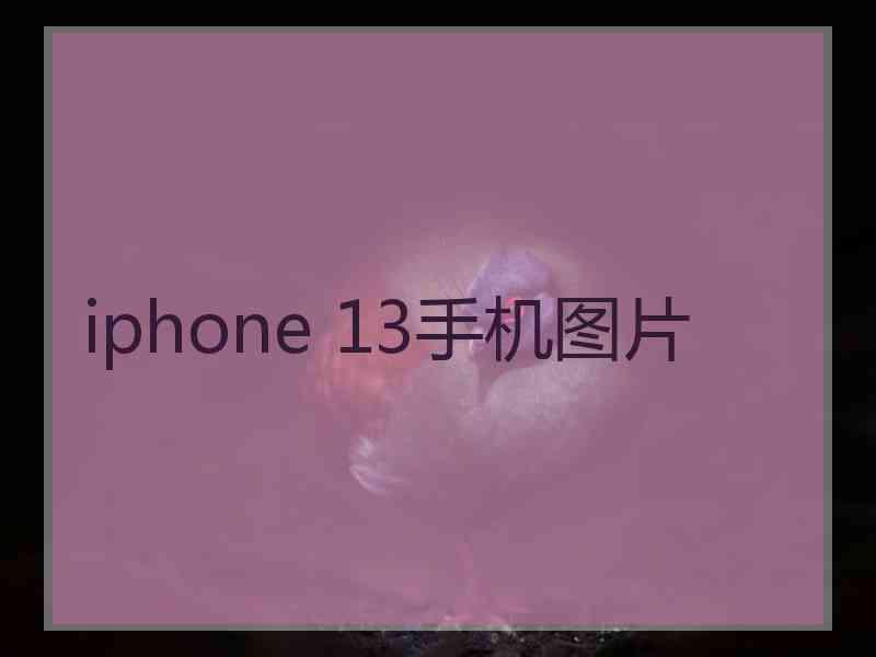 iphone 13手机图片