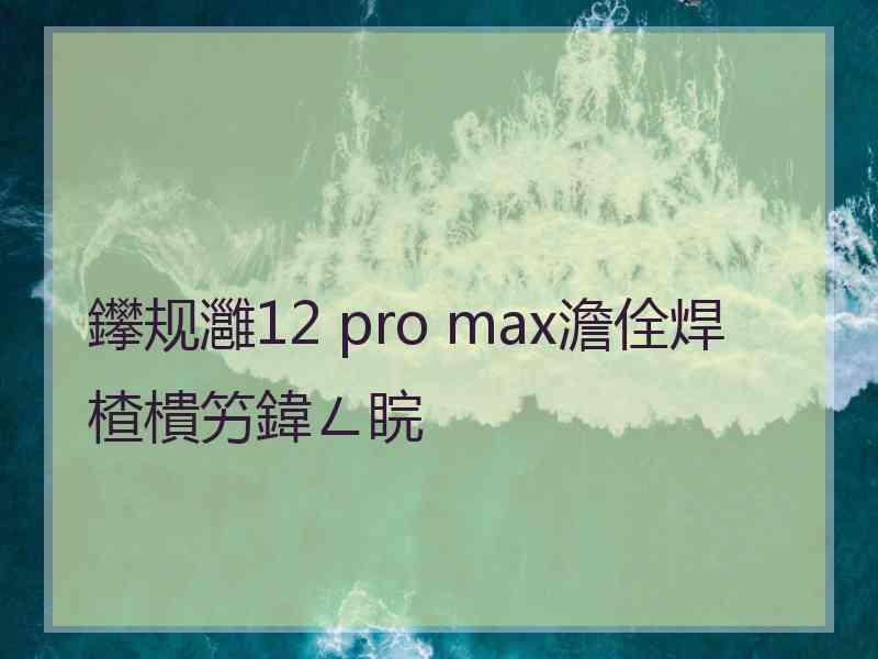 鑻规灉12 pro max澹佺焊楂樻竻鍏ㄥ睆