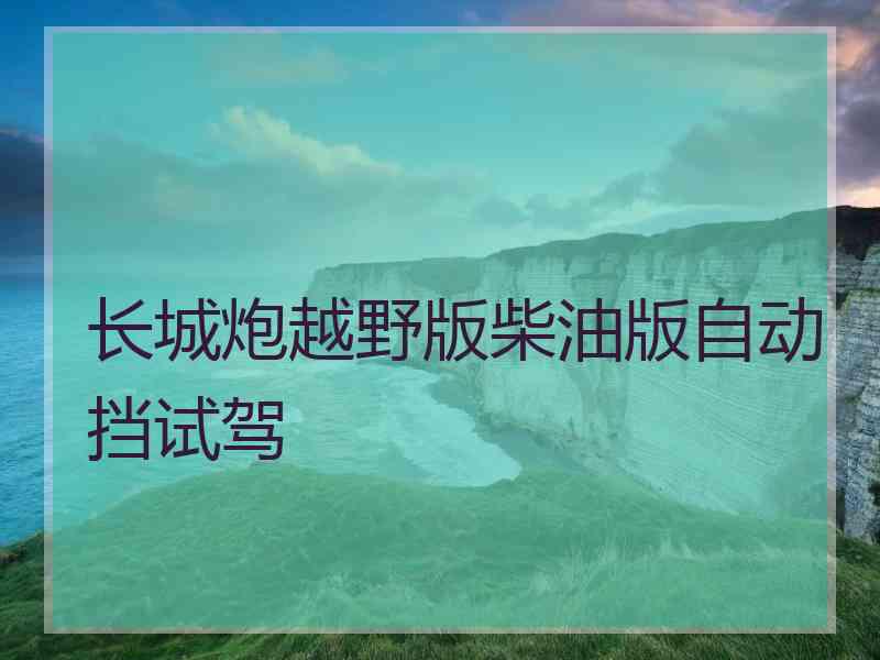 长城炮越野版柴油版自动挡试驾