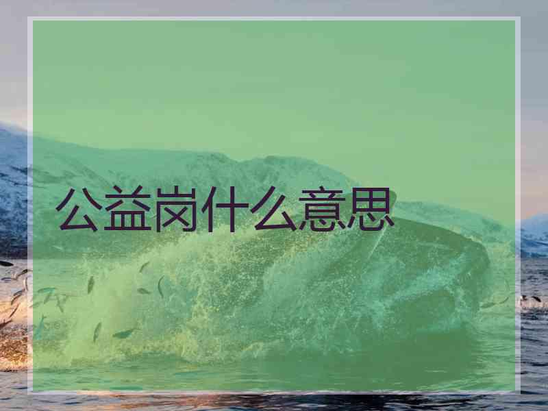 公益岗什么意思