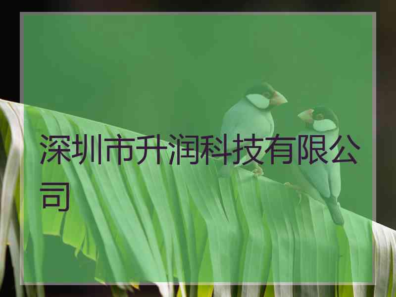 深圳市升润科技有限公司