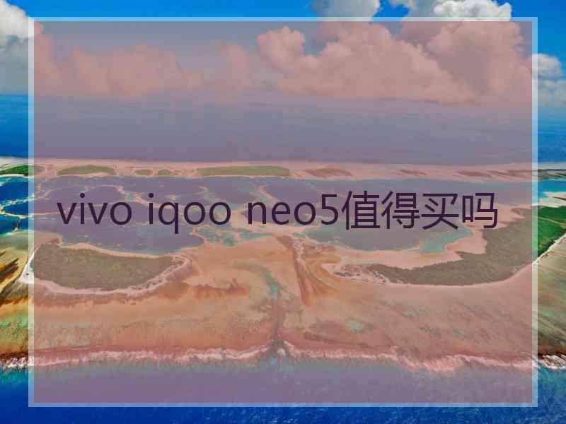 vivo iqoo neo5值得买吗