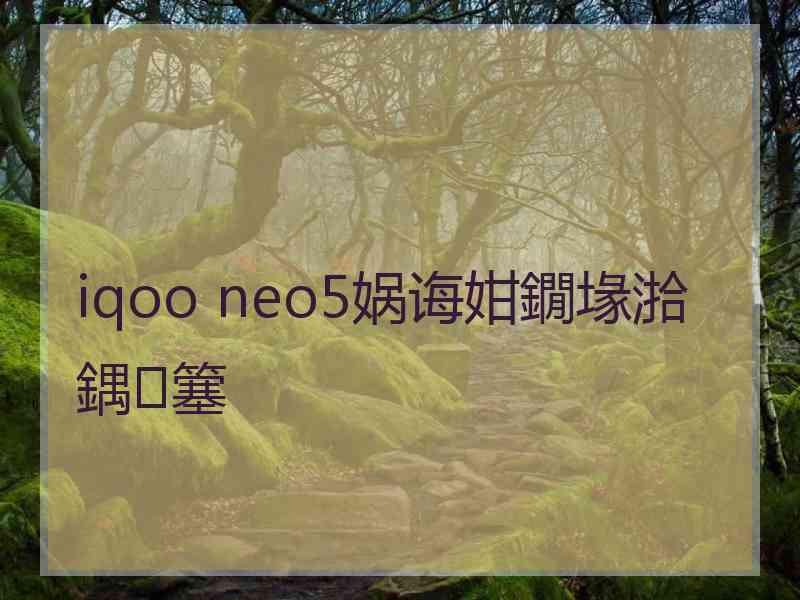 iqoo neo5娲诲姏鐗堟湁鍝簺