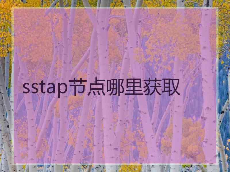 sstap节点哪里获取