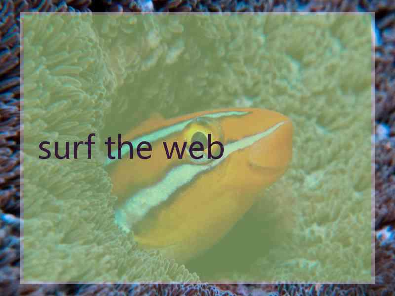 surf the web