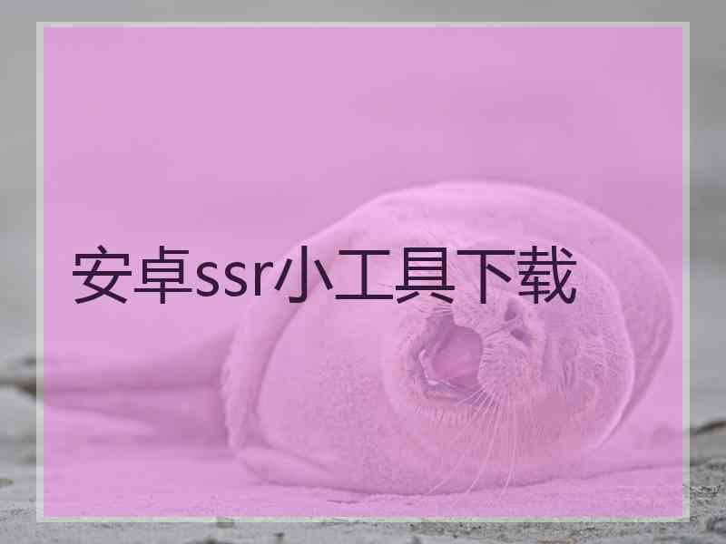 安卓ssr小工具下载