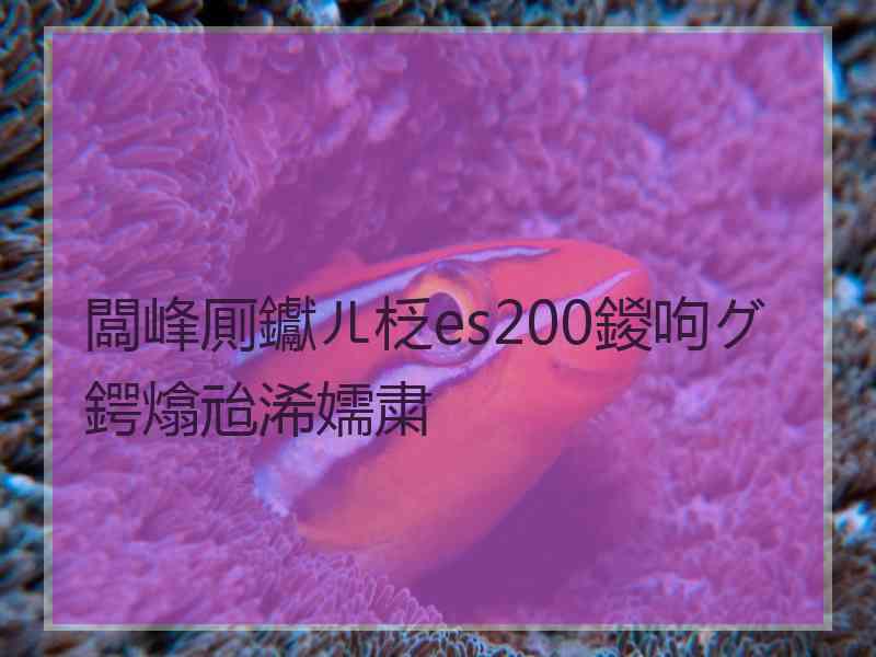 闆峰厠钀ㄦ柉es200鍐呴グ鍔熻兘浠嬬粛