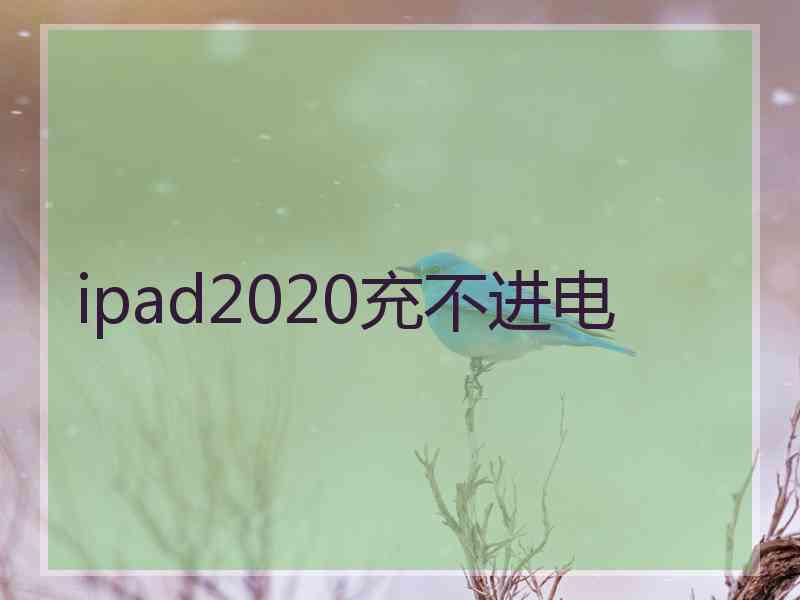 ipad2020充不进电