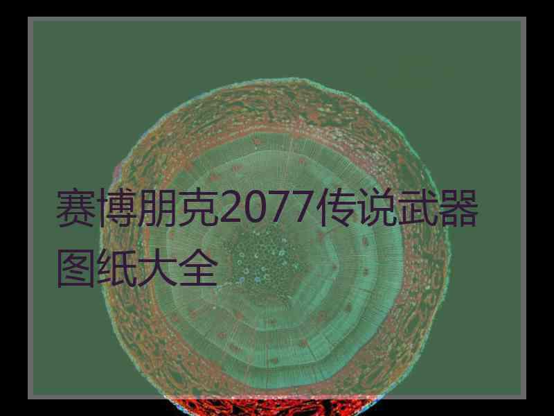 赛博朋克2077传说武器图纸大全