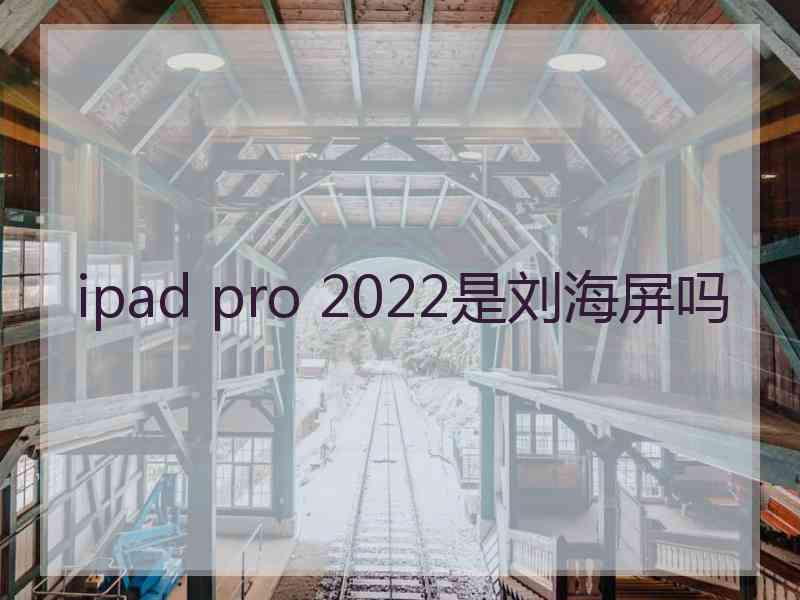 ipad pro 2022是刘海屏吗