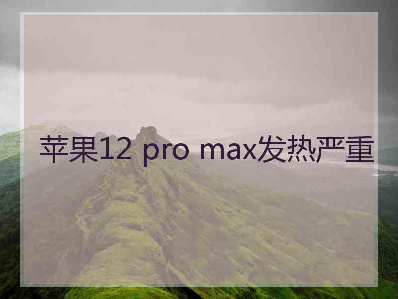 苹果12 pro max发热严重