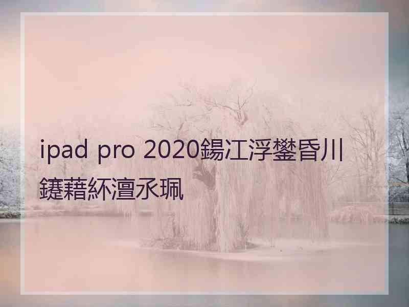 ipad pro 2020鍚冮浮鐢昏川鑳藉紑澶氶珮