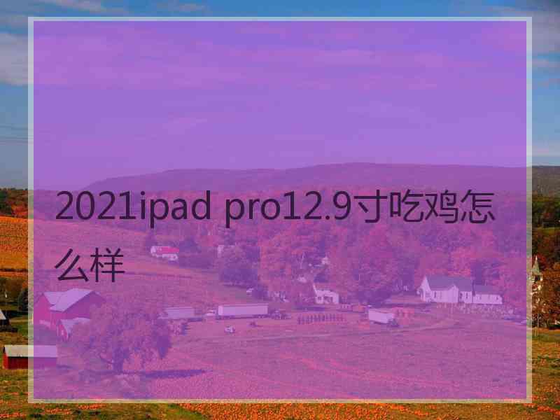 2021ipad pro12.9寸吃鸡怎么样