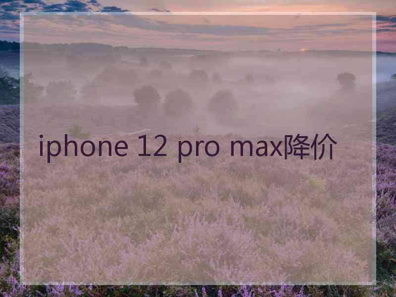 iphone 12 pro max降价