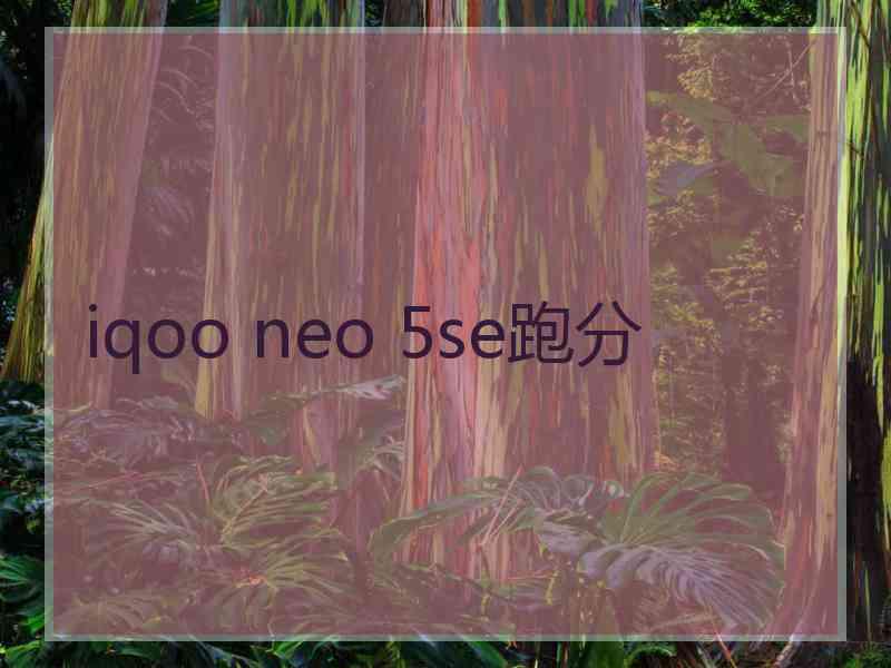 iqoo neo 5se跑分