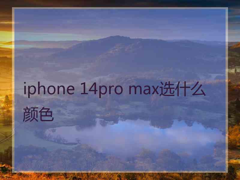 iphone 14pro max选什么颜色