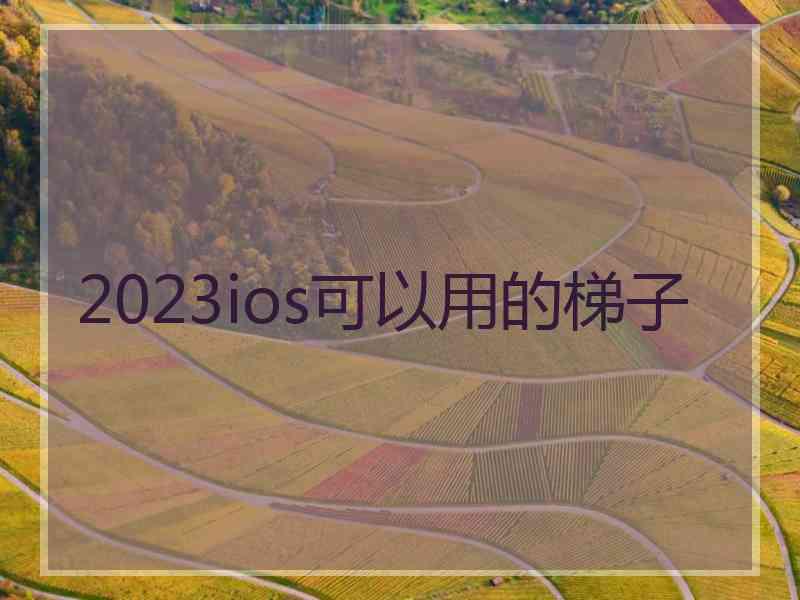 2023ios可以用的梯子