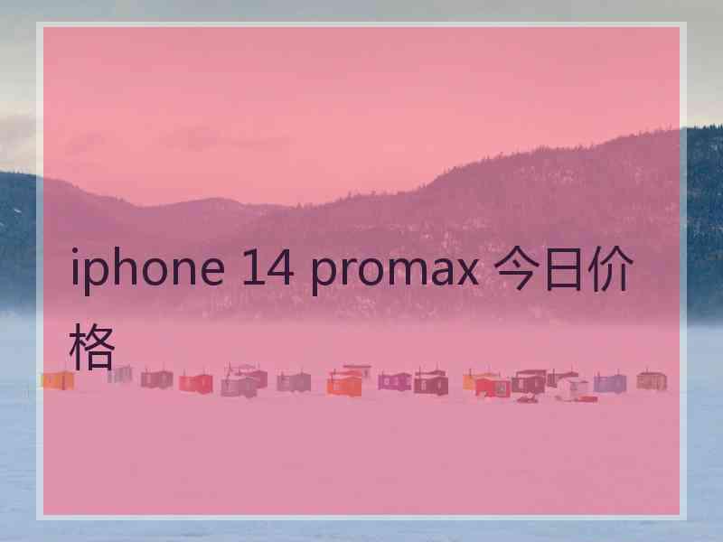 iphone 14 promax 今日价格