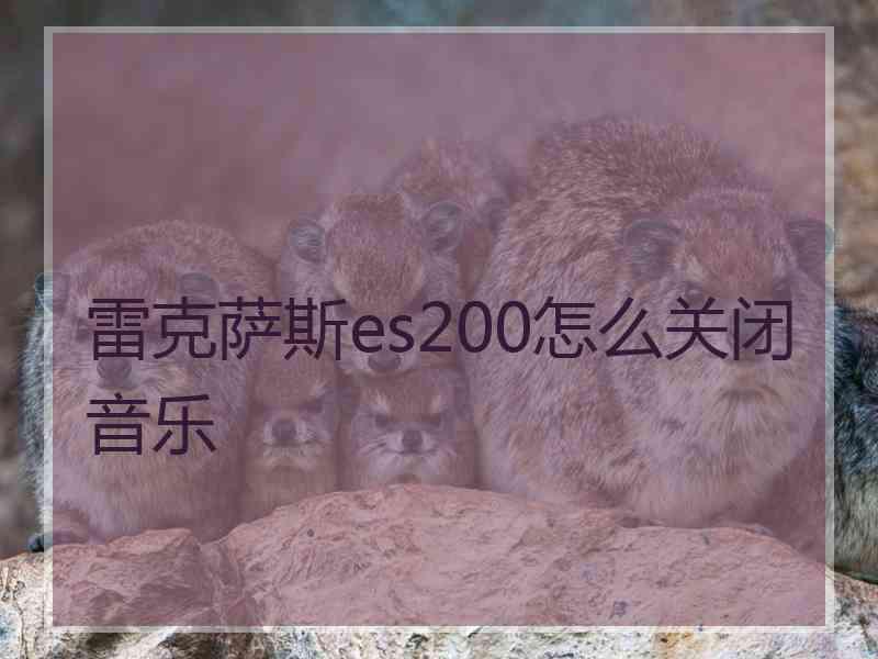 雷克萨斯es200怎么关闭音乐