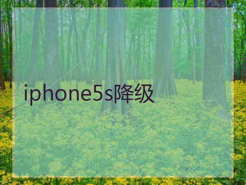 iphone5s降级