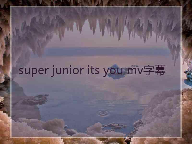 super junior its you mv字幕