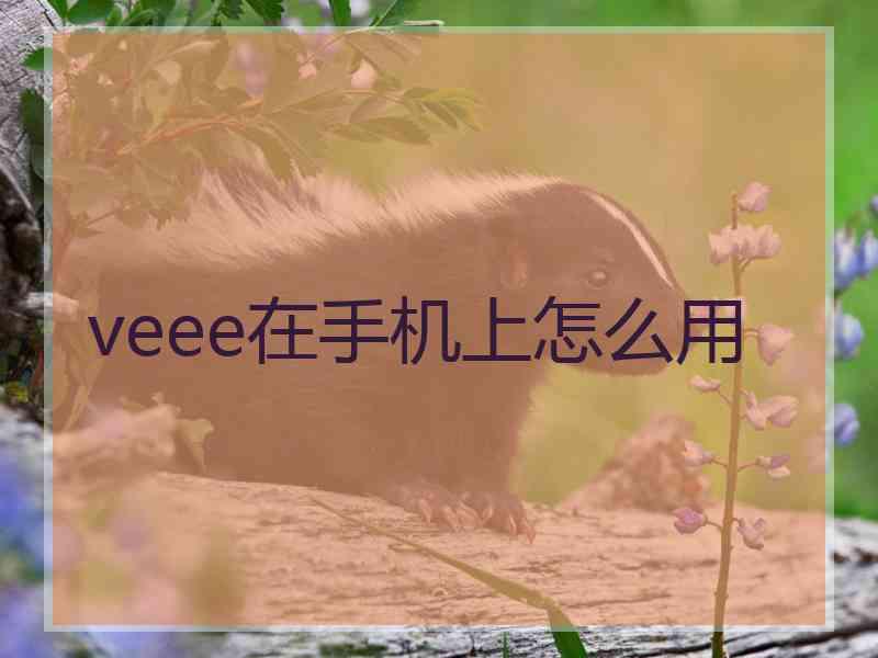 veee在手机上怎么用