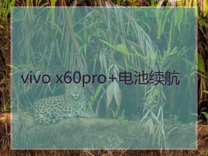 vivo x60pro+电池续航