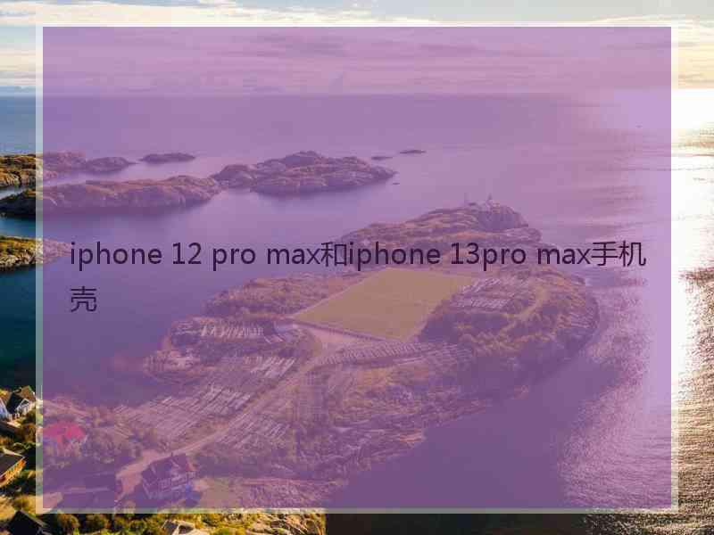 iphone 12 pro max和iphone 13pro max手机壳