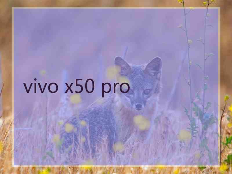 vivo x50 pro 