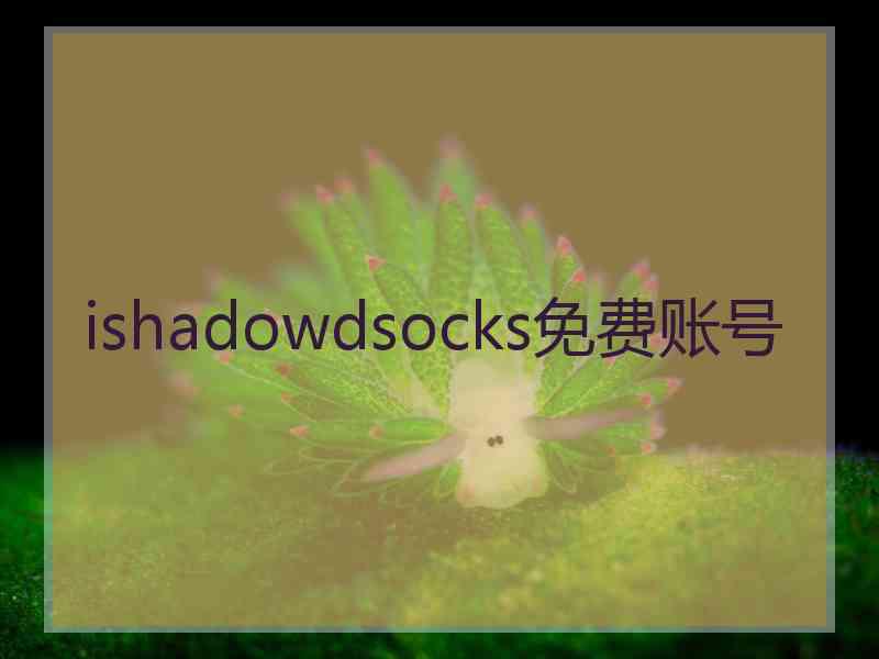 ishadowdsocks免费账号