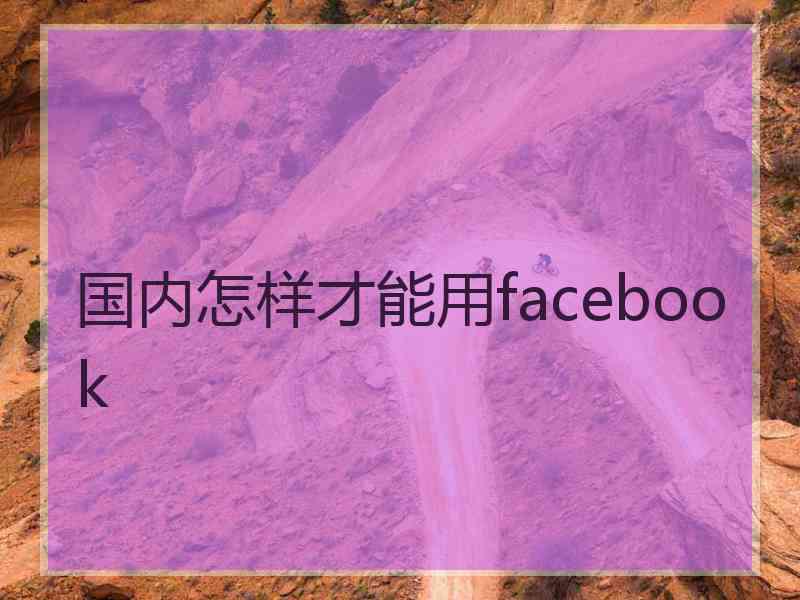 国内怎样才能用facebook