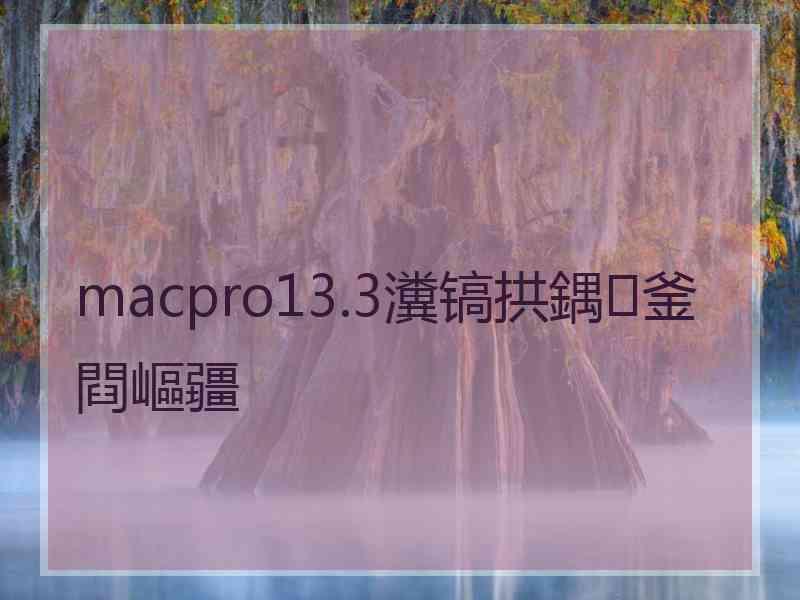 macpro13.3瀵镐拱鍝釜閰嶇疆