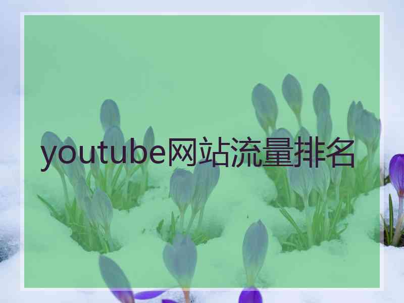 youtube网站流量排名