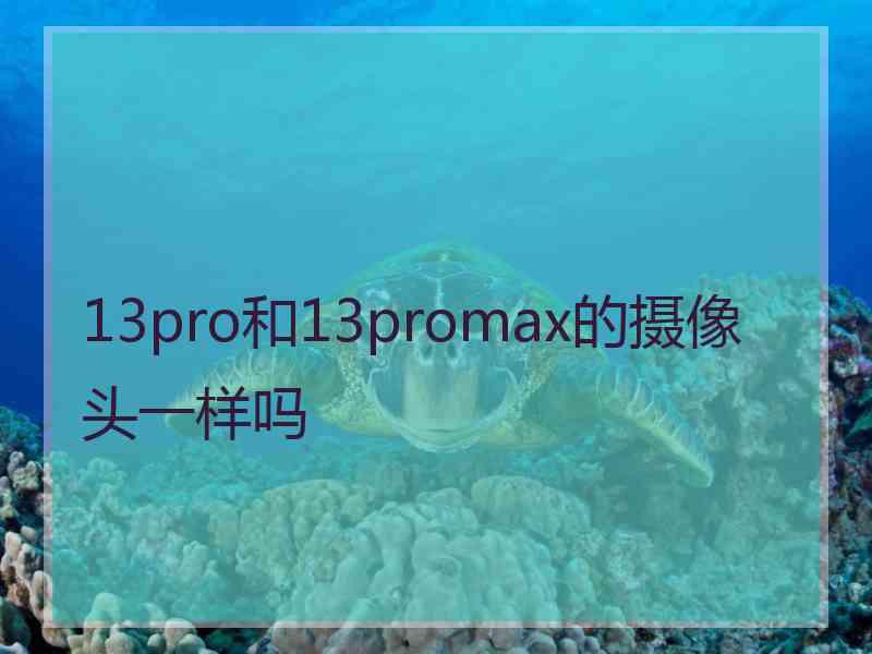 13pro和13promax的摄像头一样吗