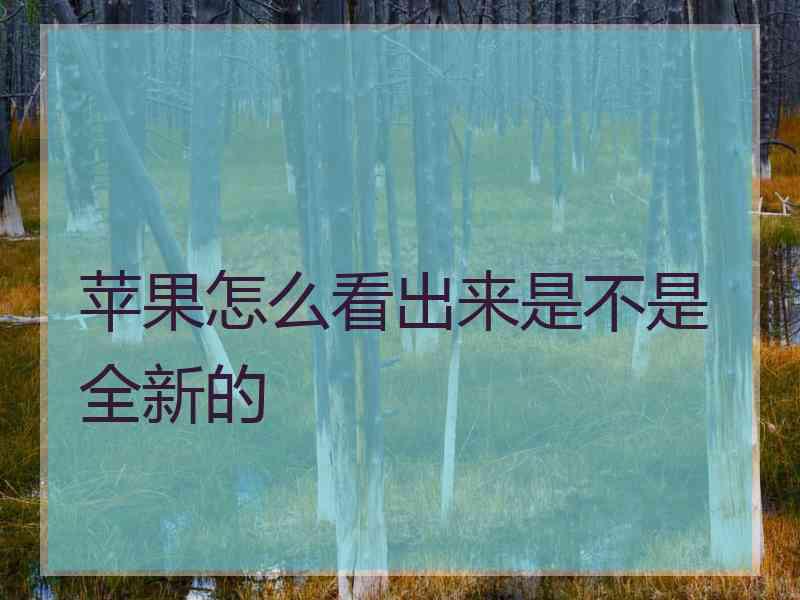 苹果怎么看出来是不是全新的